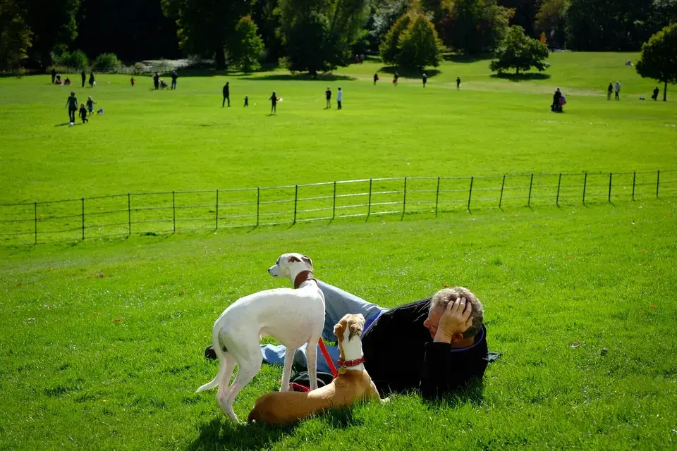 mold removal Mattawa